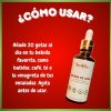 Melena de León Adaptógeno | Función cognitiva | 50 ml