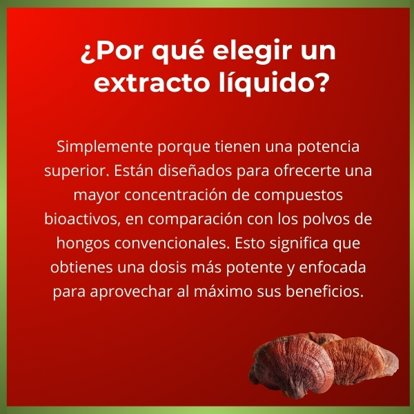 Extracto de Reishi Adaptógeno | Sistema Inmunológico | 50 ml