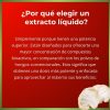 Melena de León Adaptógeno | Función cognitiva | 50 ml