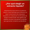 Extracto Cordyceps Adaptógeno | Rendimiento Físico | 50 ml