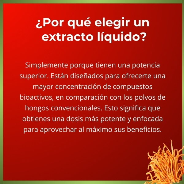 Extracto Cordyceps Adaptógeno | Rendimiento Físico | 50 ml