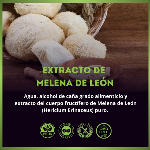Melena de León Adaptógeno | Función cognitiva | 50 ml