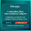 Glucosamina + Condroitina + MSM + Colágeno | Salud Articular y Cartílago | 300 g