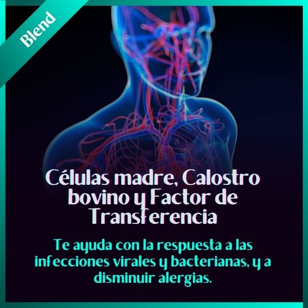 Células Madre, Calostro Bovino y Factor De Transferencia | 300 g