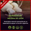 Melena de León Adaptógeno | Función cognitiva | 30 ml