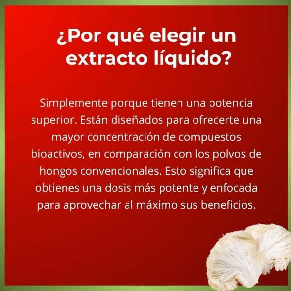 Melena de León Adaptógeno | Función cognitiva | 30 ml