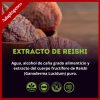 Extracto Líquido de Hongo Reishi | Sistema Inmunológico | 30 ml
