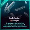 Lactobacilos con Omega 3 | + de 3 billones de UFC | 30 caps.