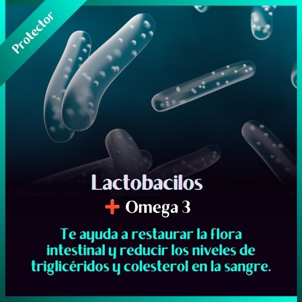 Lactobacilos con Omega 3 | + de 3 billones de UFC | 30 caps.