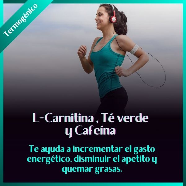 Té verde, Cafeína, Carnitina | Termogénico | 500 mg | 30 cápsulas