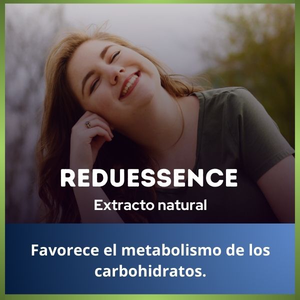 Extracto Termogénico | 50 ml