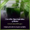 Extracto de Clorofila con Espirulina y Menta | 50 ml