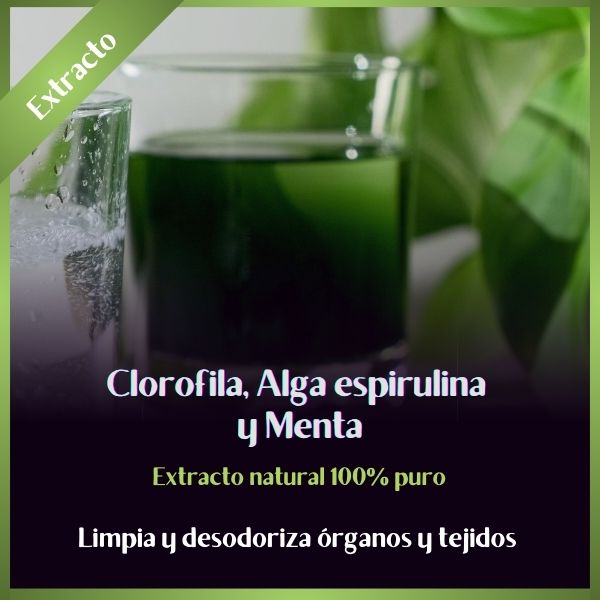 Extracto de Clorofila con Espirulina y Menta | 50 ml